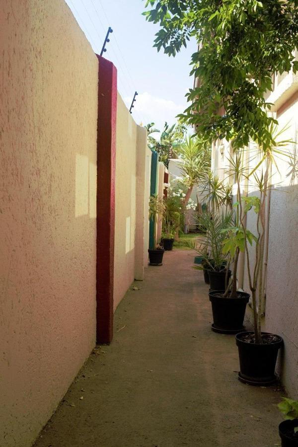 Houghton Guest House Johannesburg Exterior photo
